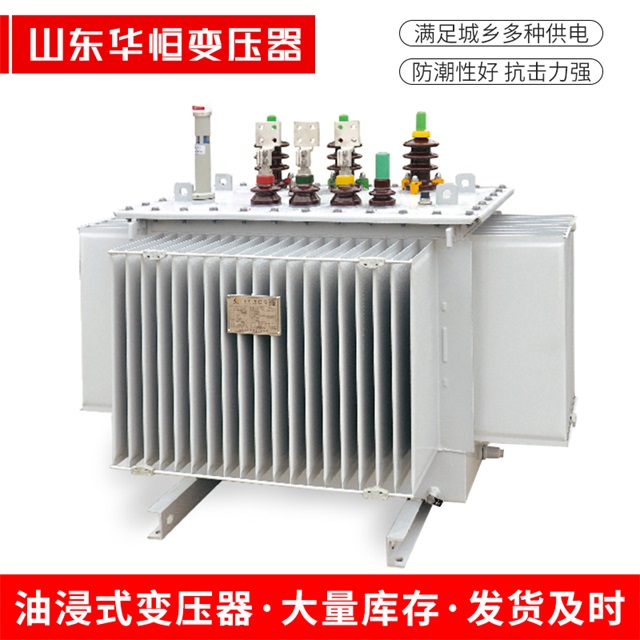 S13-10000/35德清德清德清电力变压器